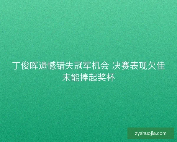 丁俊晖遗憾错失冠军机会 决赛表现欠佳未能捧起奖杯